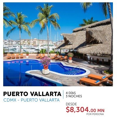 gallery/puerto-vallarta-flamingo